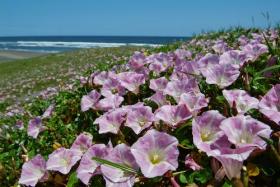 �y�G�[�XJTB�E�������s�z��t�c�A�[�E��t�̗��فE�z�e���\��@